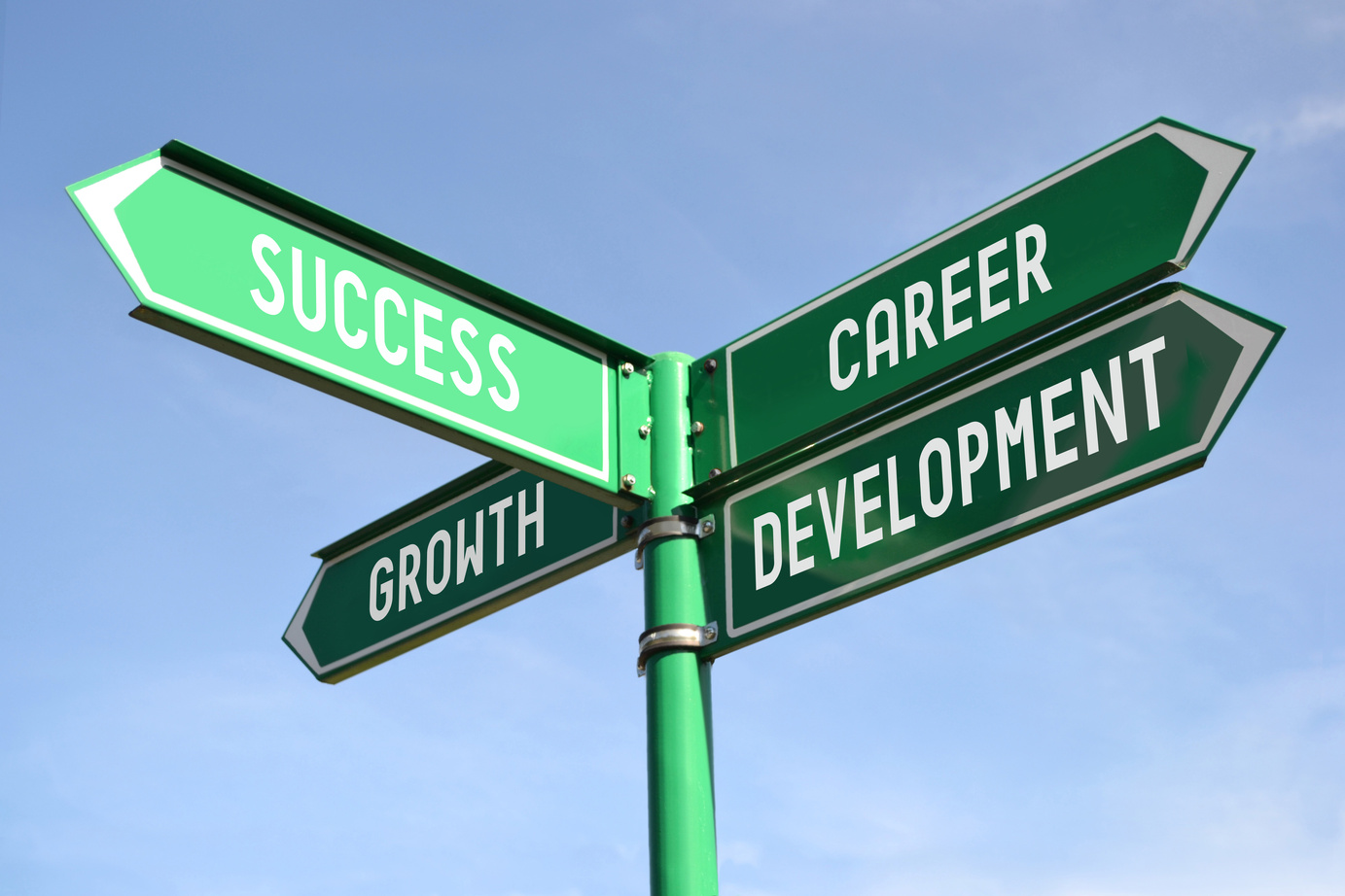 Success, growth, career, development signpost